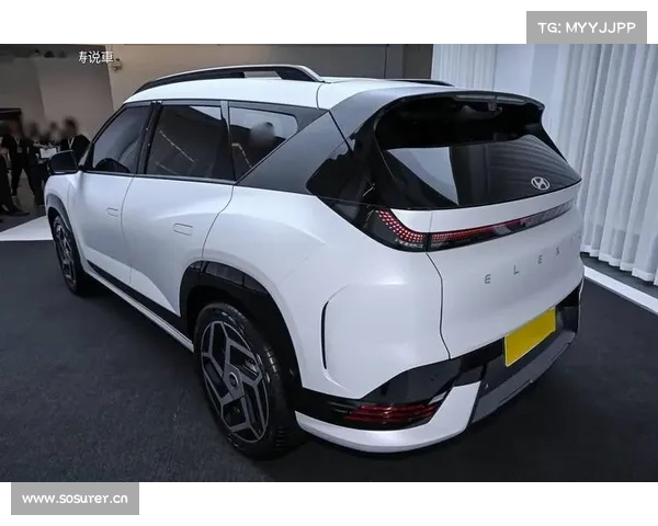 五星家族•安全基因 北京现代亮相2014中国汽车安全巡展 五星家族•安全基因 北京现代亮相2014中国汽车安全巡展