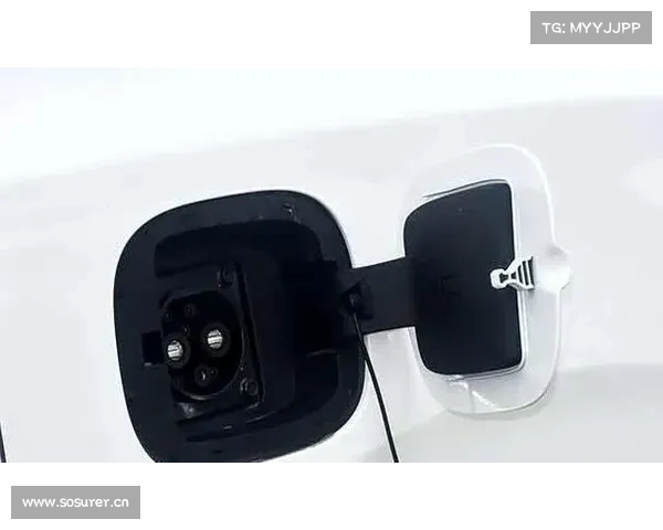 五菱新车“掀桌子”!满油电跑1000公里,油耗2.42L,还是大七座 五菱新车“掀桌子”!满油电跑1000公里,油耗2.42L,还是大七座