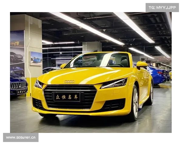 全新TT购车手册 推荐TT Roadster 45TFSI 全新TT购车手册 推荐TT Roadster 45TFSI